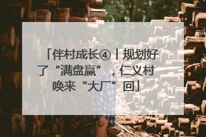 伴村成长④丨规划好了“满盘赢”，仁义村唤来“大厂”回