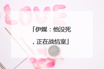 伊媒：他没死，正在战情室