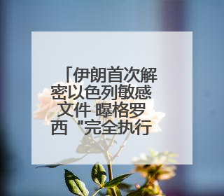 伊朗首次解密以色列敏感文件 曝格罗西“完全执行”以方指令
