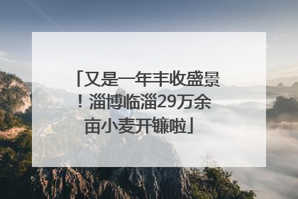 又是一年丰收盛景！淄博临淄29万余亩小麦开镰啦