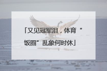 又见冠军泪，体育“饭圈”乱象何时休