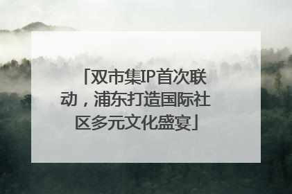 双市集IP首次联动，浦东打造国际社区多元文化盛宴