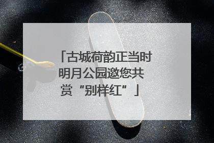 古城荷韵正当时 明月公园邀您共赏“别样红”