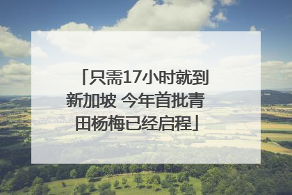只需17小时就到新加坡 今年首批青田杨梅已经启程