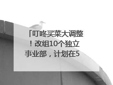 叮咚买菜大调整！改组10个独立事业部，计划在5月完成App端全面改版