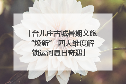 台儿庄古城暑期文旅“焕新” 四大维度解锁运河夏日奇遇