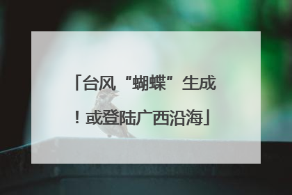 台风“蝴蝶”生成！或登陆广西沿海