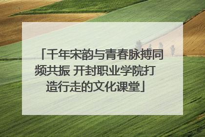 千年宋韵与青春脉搏同频共振 开封职业学院打造行走的文化课堂
