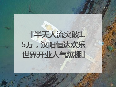 半天人流突破1.5万，汉阳恒达欢乐世界开业人气爆棚
