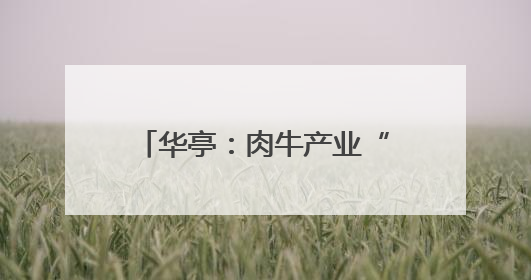 华亭：肉牛产业“犇”出致富新赛道