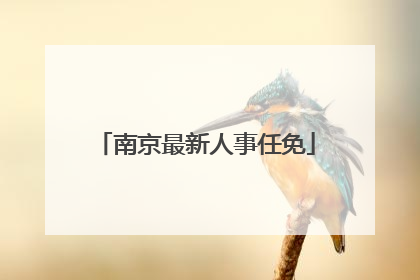 南京最新人事任免
