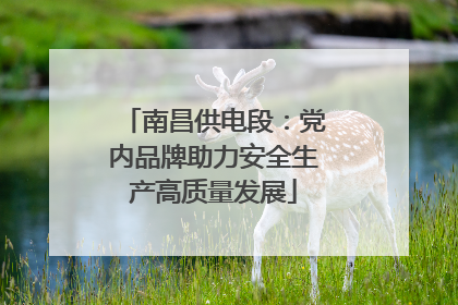 南昌供电段：党内品牌助力安全生产高质量发展