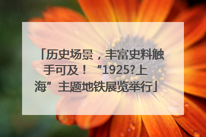 历史场景，丰富史料触手可及！“1925?上海”主题地铁展览举行