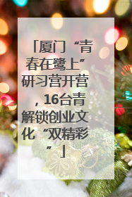 厦门“青春在鹭上”研习营开营，16台青解锁创业文化“双精彩”