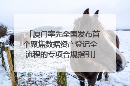 厦门率先全国发布首个聚焦数据资产登记全流程的专项合规指引