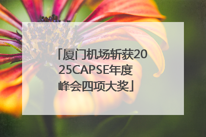 厦门机场斩获2025CAPSE年度峰会四项大奖