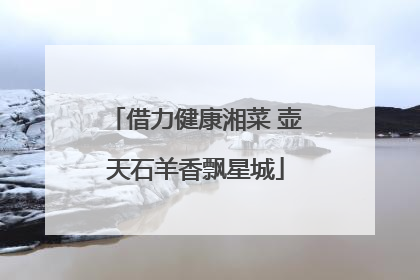 借力健康湘菜 壶天石羊香飘星城