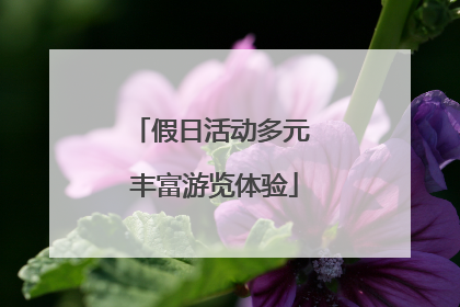 假日活动多元 丰富游览体验