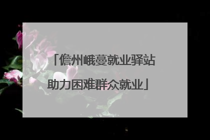 儋州峨蔓就业驿站助力困难群众就业