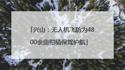 兴山：无人机飞防为4800余亩柑橘保驾护航