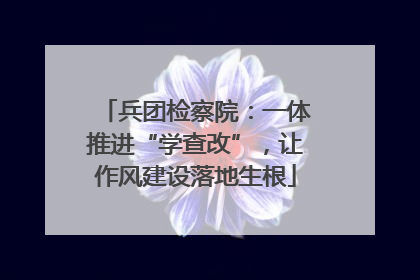 兵团检察院：一体推进“学查改”，让作风建设落地生根
