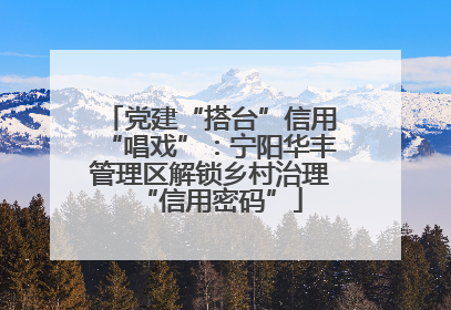 党建“搭台”信用“唱戏”：宁阳华丰管理区解锁乡村治理“信用密码”
