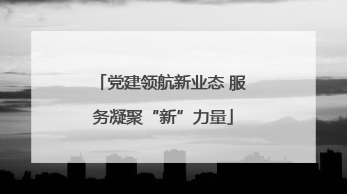 党建领航新业态 服务凝聚“新”力量