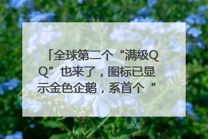 全球第二个“满级QQ”也来了，图标已显示金色企鹅，系首个“满级QQ”的小号