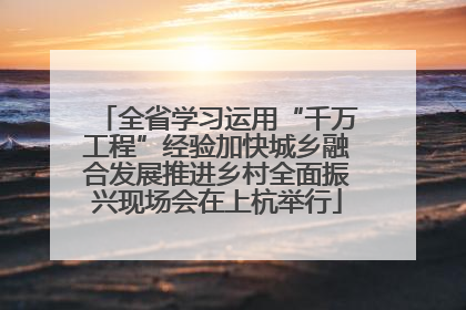 全省学习运用“千万工程”经验加快城乡融合发展推进乡村全面振兴现场会在上杭举行