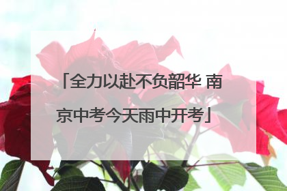 全力以赴不负韶华 南京中考今天雨中开考
