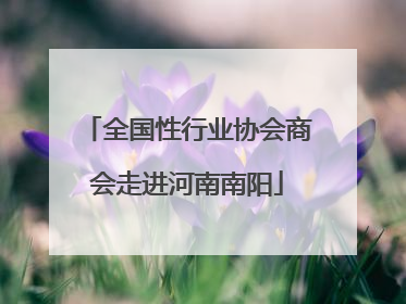 全国性行业协会商会走进河南南阳