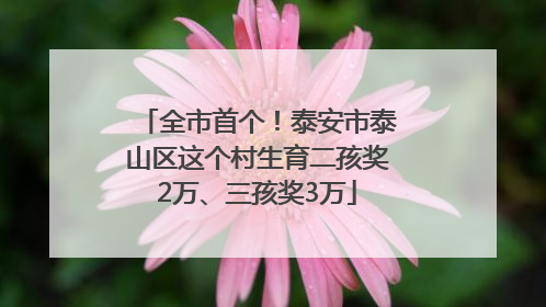 全市首个！泰安市泰山区这个村生育二孩奖2万、三孩奖3万