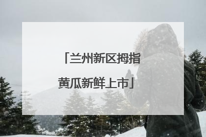 兰州新区拇指黄瓜新鲜上市