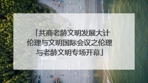 共商老龄文明发展大计 伦理与文明国际会议之伦理与老龄文明专场开幕