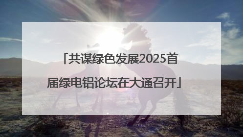共谋绿色发展2025首届绿电铝论坛在大通召开