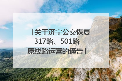 关于济宁公交恢复317路、501路原线路运营的通告