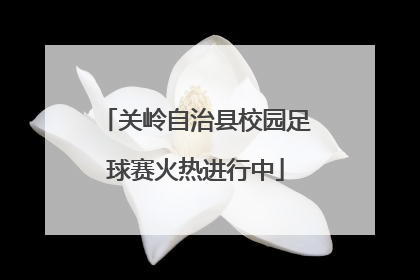 关岭自治县校园足球赛火热进行中