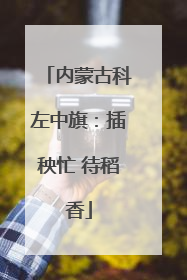 内蒙古科左中旗：插秧忙 待稻香