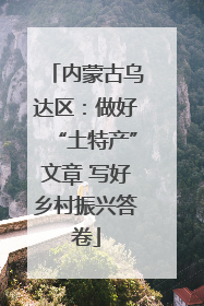 内蒙古乌达区：做好“土特产”文章 写好乡村振兴答卷