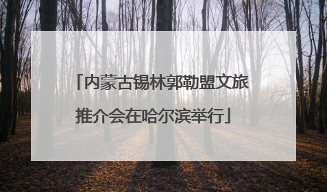 内蒙古锡林郭勒盟文旅推介会在哈尔滨举行