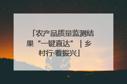 农产品质量监测结果“一键直达”｜乡村行·看振兴