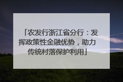 农发行浙江省分行：发挥政策性金融优势，助力传统村落保护利用