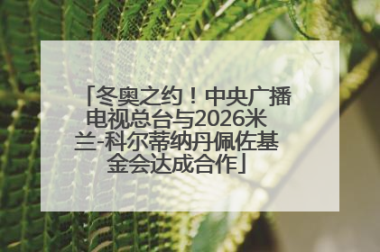 冬奥之约！中央广播电视总台与2026米兰-科尔蒂纳丹佩佐基金会达成合作