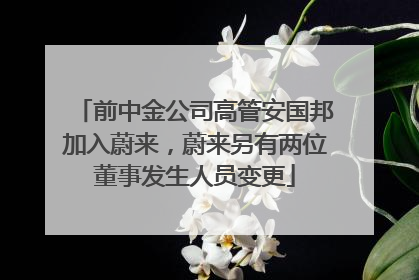前中金公司高管安国邦加入蔚来，蔚来另有两位董事发生人员变更