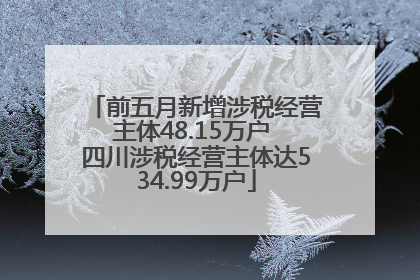 前五月新增涉税经营主体48.15万户 四川涉税经营主体达534.99万户