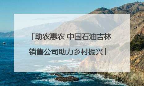 助农惠农 中国石油吉林销售公司助力乡村振兴