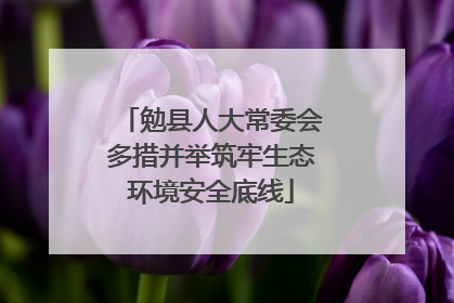 勉县人大常委会多措并举筑牢生态环境安全底线