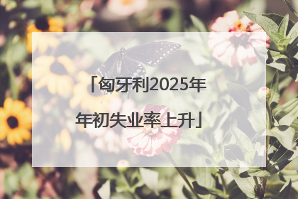 匈牙利2025年年初失业率上升