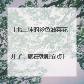 北三环的彩色油菜花开了，就在朝阳安贞