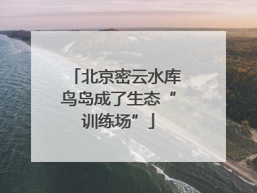 北京密云水库鸟岛成了生态“训练场”